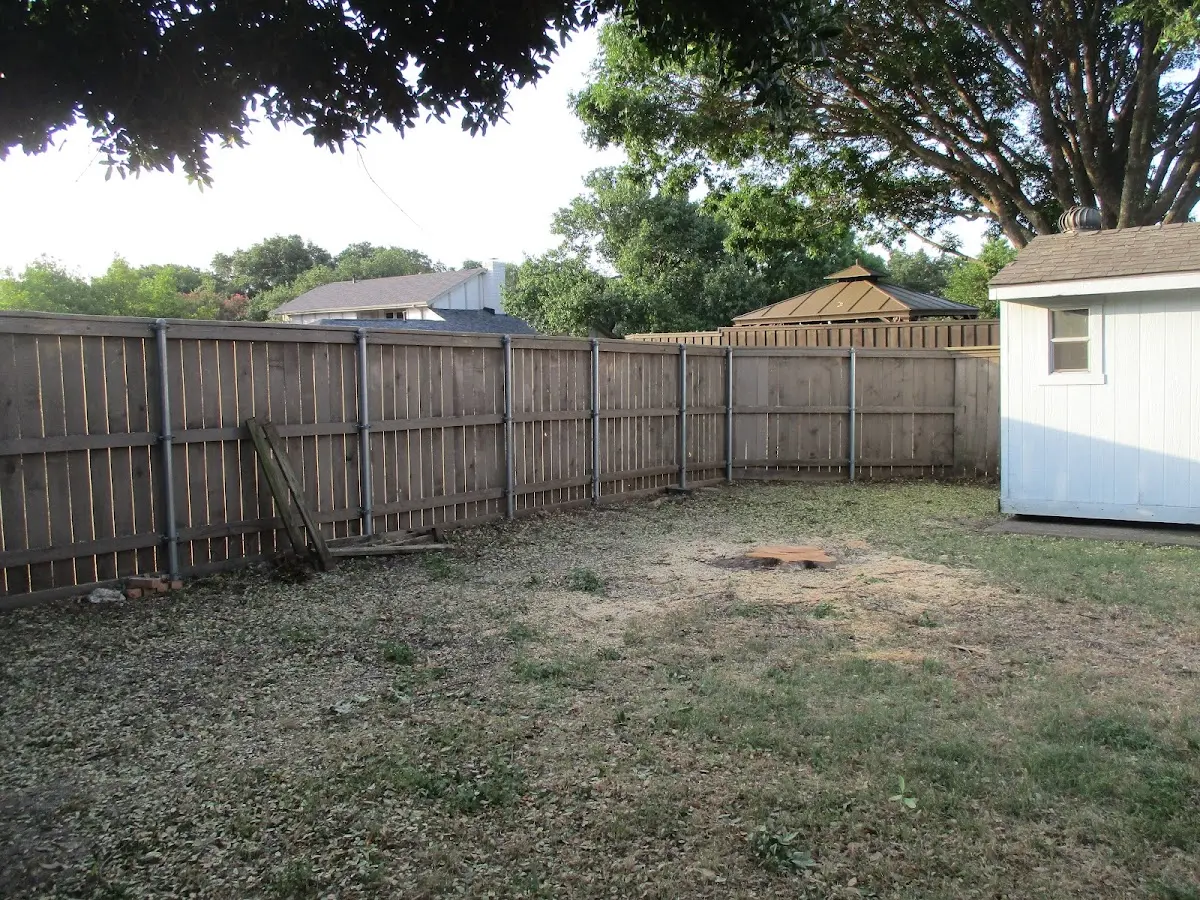Cleared yard after professional tree removal in Mountlake Terrace